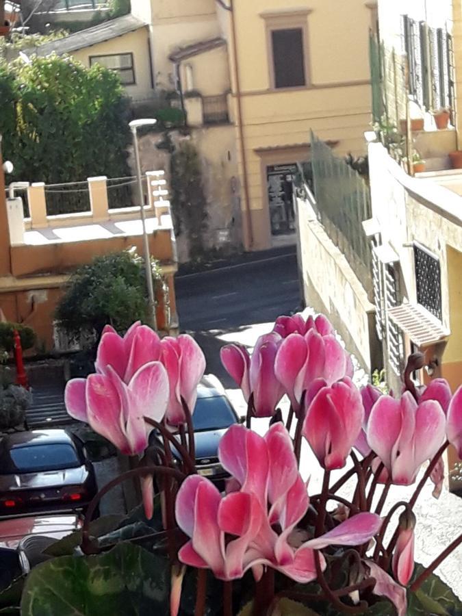 San Pietro Leisure And Luxury Hotell Roma Eksteriør bilde